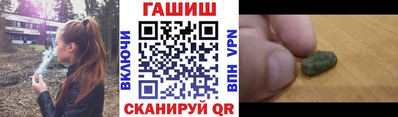 как найти наркотики  Кологрив  Гашиш индика сатива 