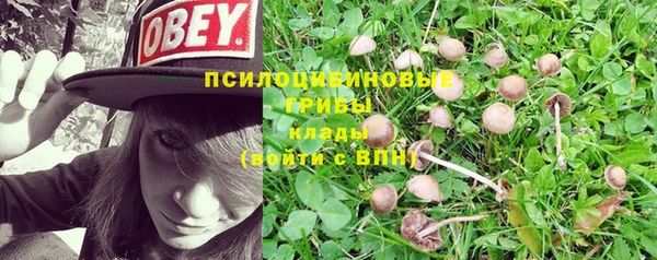 мяу мяу мука Алексеевка