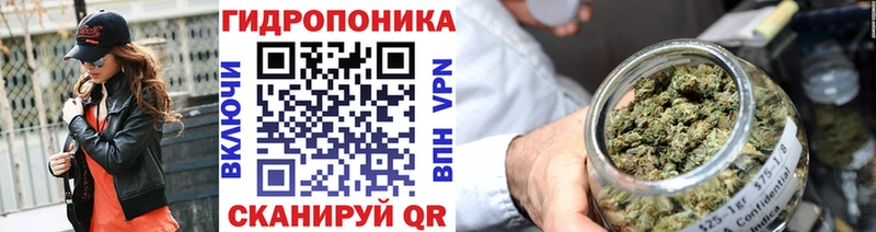 Бошки Шишки VHQ Кологрив